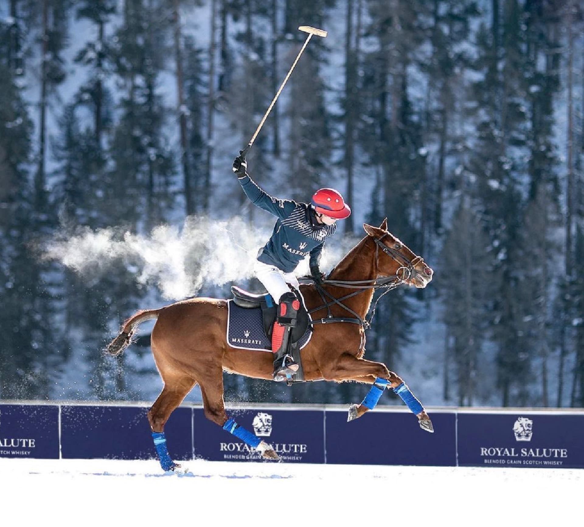 Snow polo with Royal Salute branding